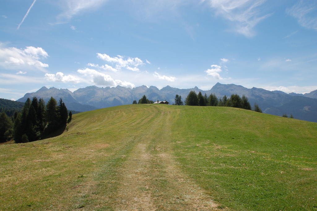 Cimon Dolomites Hotel Предаццо Экстерьер фото