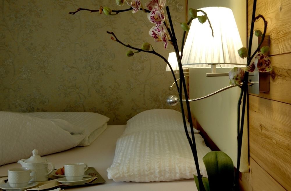 Cimon Dolomites Hotel Предаццо Экстерьер фото